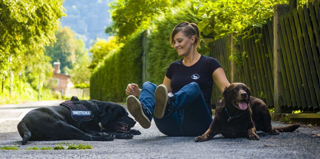 Hundetrainer-Lilienfeld