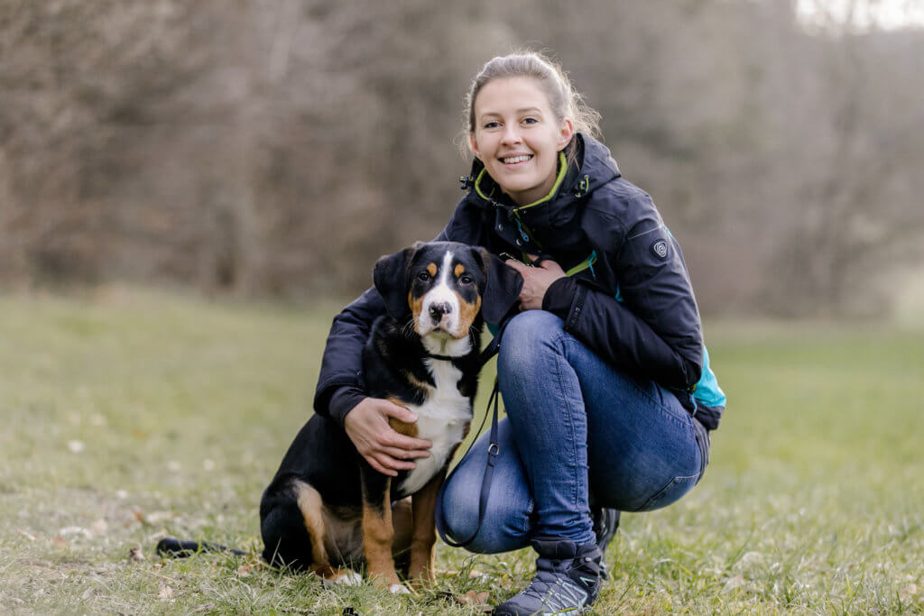 Hundetrainer Hundepsychologie